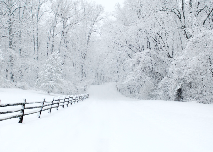 Most extreme temperatures in the history of every state